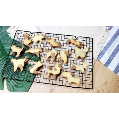 20231122_144031.jpg 20231122_144031.jpg